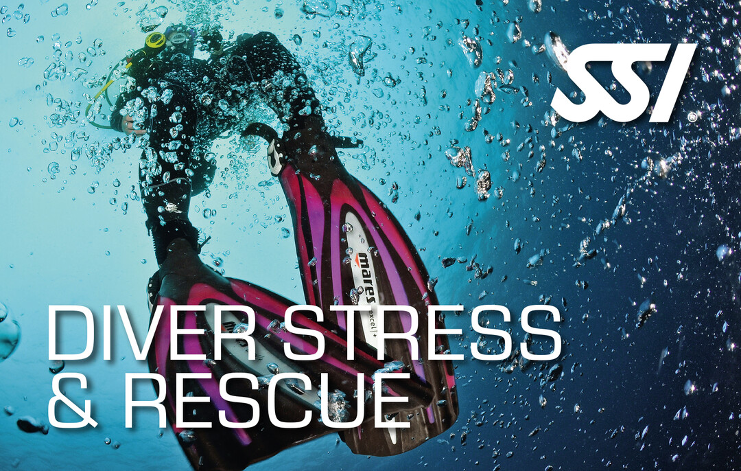 Formation de plongée à la gestion du stress et sauvetage en plongée à Nice